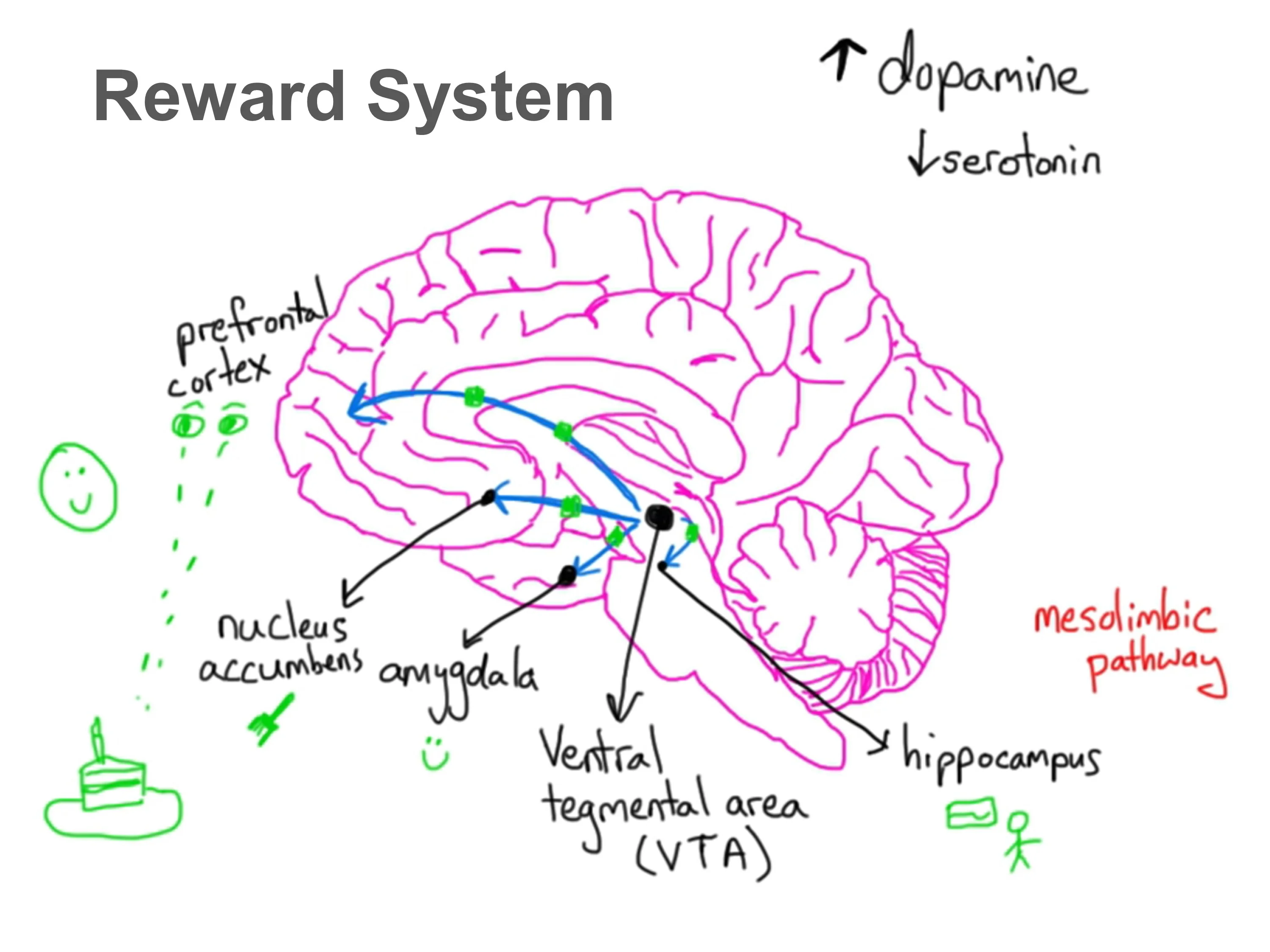 02_innovarad_IC_PPT_3C